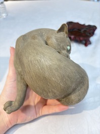 A Chinese Shiwan stoneware cat on a wooden stand, 20th C.