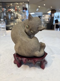 A Chinese Shiwan stoneware cat on a wooden stand, 20th C.