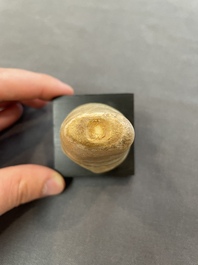 A varied collection of stone, marble and bronze figures and objects, India and Afghanistan, 3/1st C. B.C.