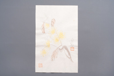 A box containing 24 woodblocks after Qi Baishi and Zhang Daqian, Rong Bao Zhai 荣宝斋 studio, early 20th C.