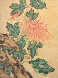 Follower of Zou Yigui 邹一桂(1686-1772): 'Chrysanthemum', ink and colour on paper, 20th C.