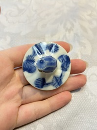 Two Chinese blue and white teapots and covers depicting goldfish and 'Wu Lao Guan Taiji 五老觀太極', Daoguang mark, 19th C.