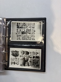 A collection of four photo albums and fieldwork prints documenting South and Southeast Asia, 20th C.