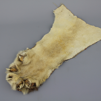 An African lion's paw ceremonial sleeve, 1st half 20th C.