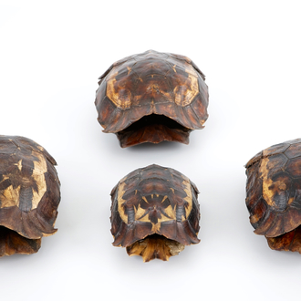 A set of 4 shields of hingeback tortoise, early 20th C.