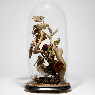 Birds on a branch, presented under glass dome, taxidermy, early 20th C.