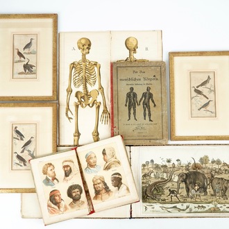 A group of illustrated books and prints on man and animal, 19/20th C.