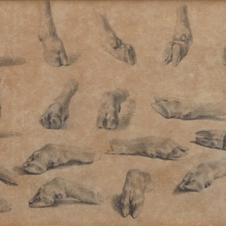 Xavier de Cock (1818-1896), Une étude de pattes de boucs, dessin au crayon