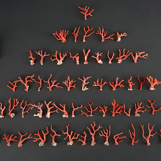 A collection of red coral branches, originating from Italy