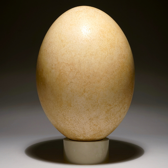 An intact elephant bird egg, Aepyornis maximus, Madagascar, 17th C. or before