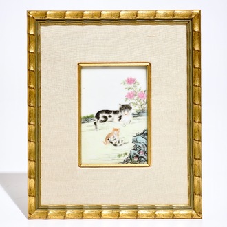 A small framed Chinese famille rose plaque depicting playing cats, 19/20th C.