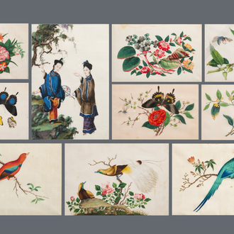 Dix peintures sur papier de riz à décor de papillons et oiseaux, Canton, Chine, 19ème