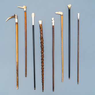 Eight mostly ivory-handled canes, one cactus cane, 19th C.