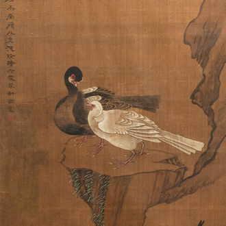 Chinese school, ink and colour on silk, 18/19th C.: 'Four birds on rockwork'