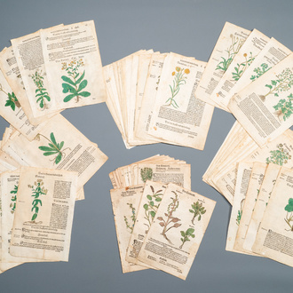 83 partly hand-coloured pages from botanical works, 16/17th C.