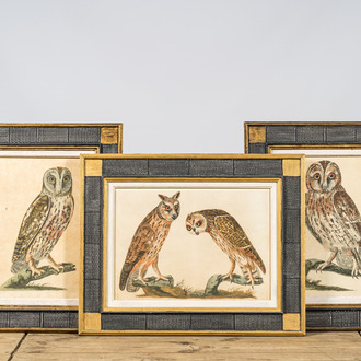 Three framed 'owl' colour engravings, 20th C.