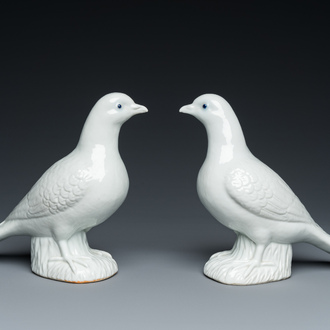 A pair of Chinese blanc de Chine pigeons, 19th C.