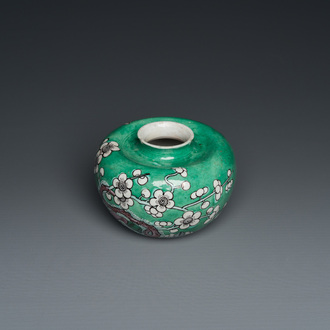 A Chinese verte biscuit 'prunus flowers' water pot, 19th C.