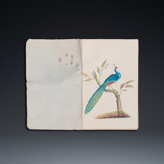 Album de 12 peintures d'oiseaux, Chine ou Inde, 19ème