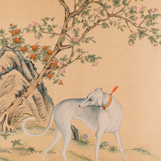 Follower of Lang Shining 郞世寧 (1688-1766): 'A Chinese greyhound', ink and colour on silk, 20th C.