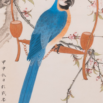 Attributed to Tian Shiguang 田世光 (1916-1999): 'Parrot', ink and colour on paper, dated 1944