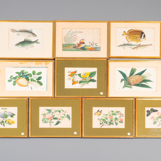 Ten various Chinese rice paper paintings with flora and fauna, Canton, 19/20th C.