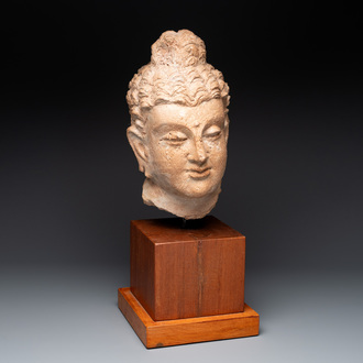 A large terracotta head of Buddha Shayamuni, Gandhara region, Kushan period, 4/5th C.