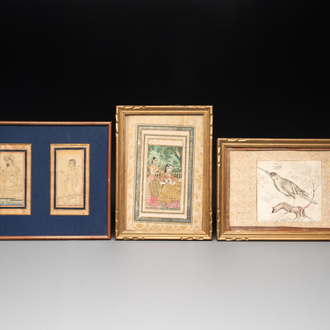 Persian school, water colour on paper, 17/19th C.