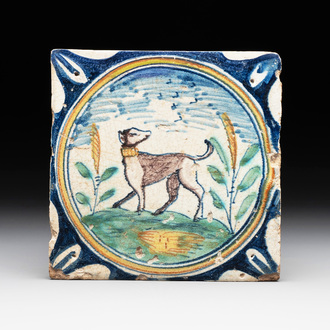 A polychrome Dutch Delft maiolica 'dog' medallion tile, late 16th C.