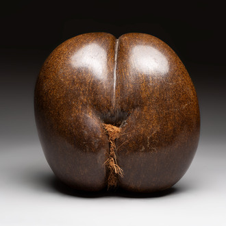 A coco de mer or sea coconut (Lodoicea maldivica), polished, Seychelles