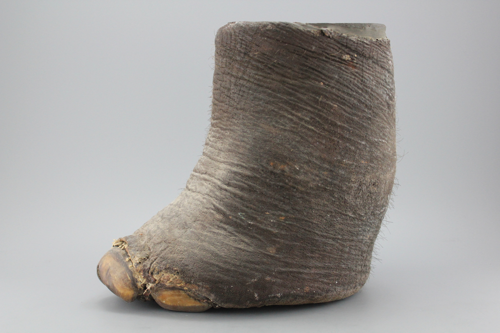 A foot of an elephant, mounted as a stool, 19/20th C.