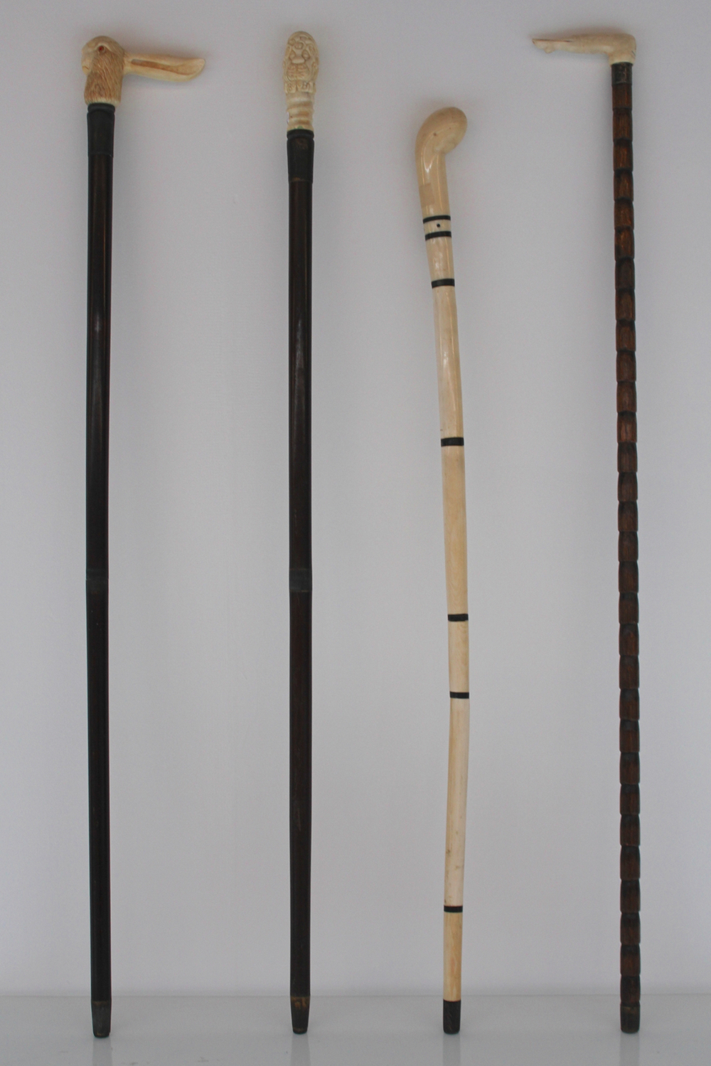 An ivory and ebony walking cane, 19th C.
