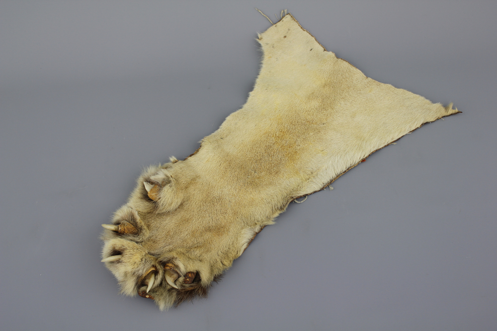 An African lion's paw ceremonial sleeve, 1st half 20th C.