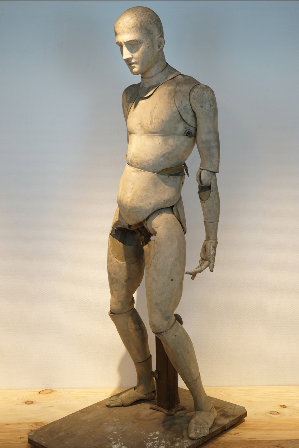 A life size anatomical model for a sculptor, 19th C.