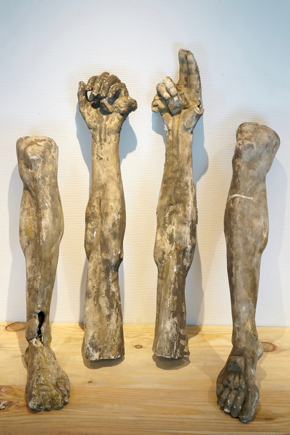A set of four plaster casts: two arms and two legs, 19/20th C., Bruges