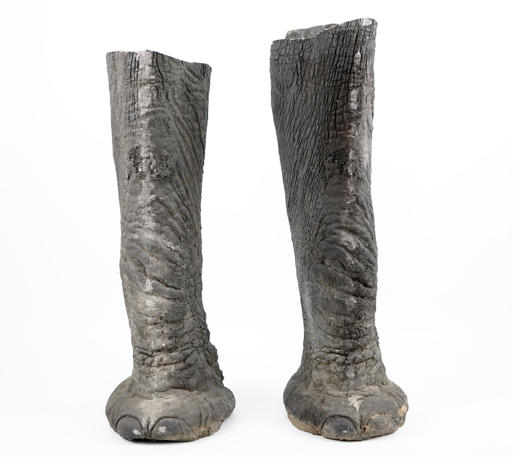 Two replicas of elephant legs, 2nd half 20th C.