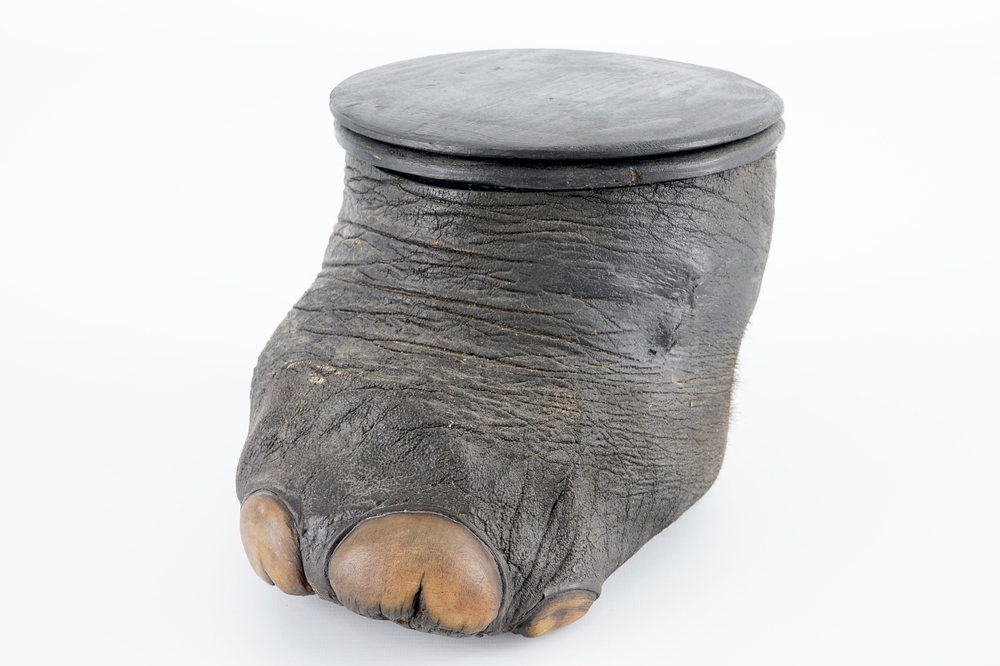 An elephant's foot mounted as a stool, ca. 1930