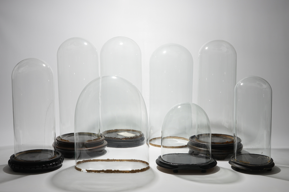A set of eight glass domes on stands, 20th C.
