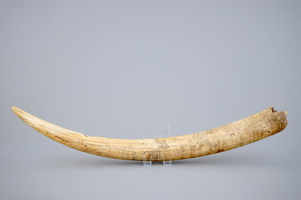 An African ivory horn, first half 20th C.