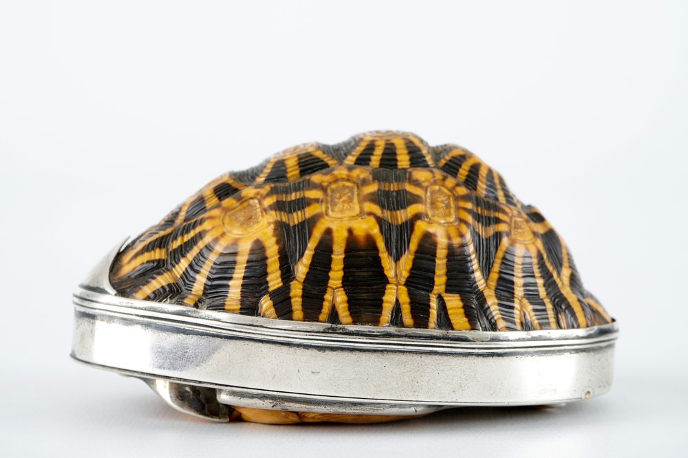 A silver-mounted tortoise shell box, 19th C.