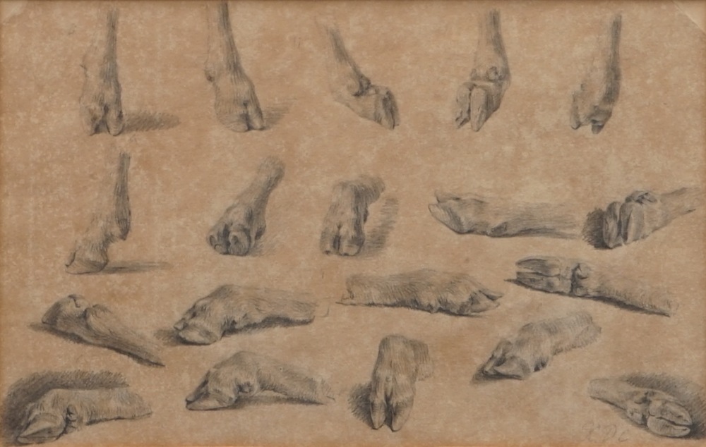 Xavier de Cock (1818-1896), Une &eacute;tude de pattes de boucs, dessin au crayon