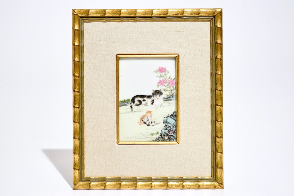 A small framed Chinese famille rose plaque depicting playing cats, 19/20th C.