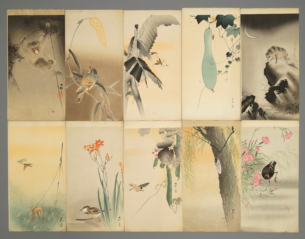 Tien Japanese aquarellen met decors van dieren en bloemen, Meiji, 19/20e eeuw