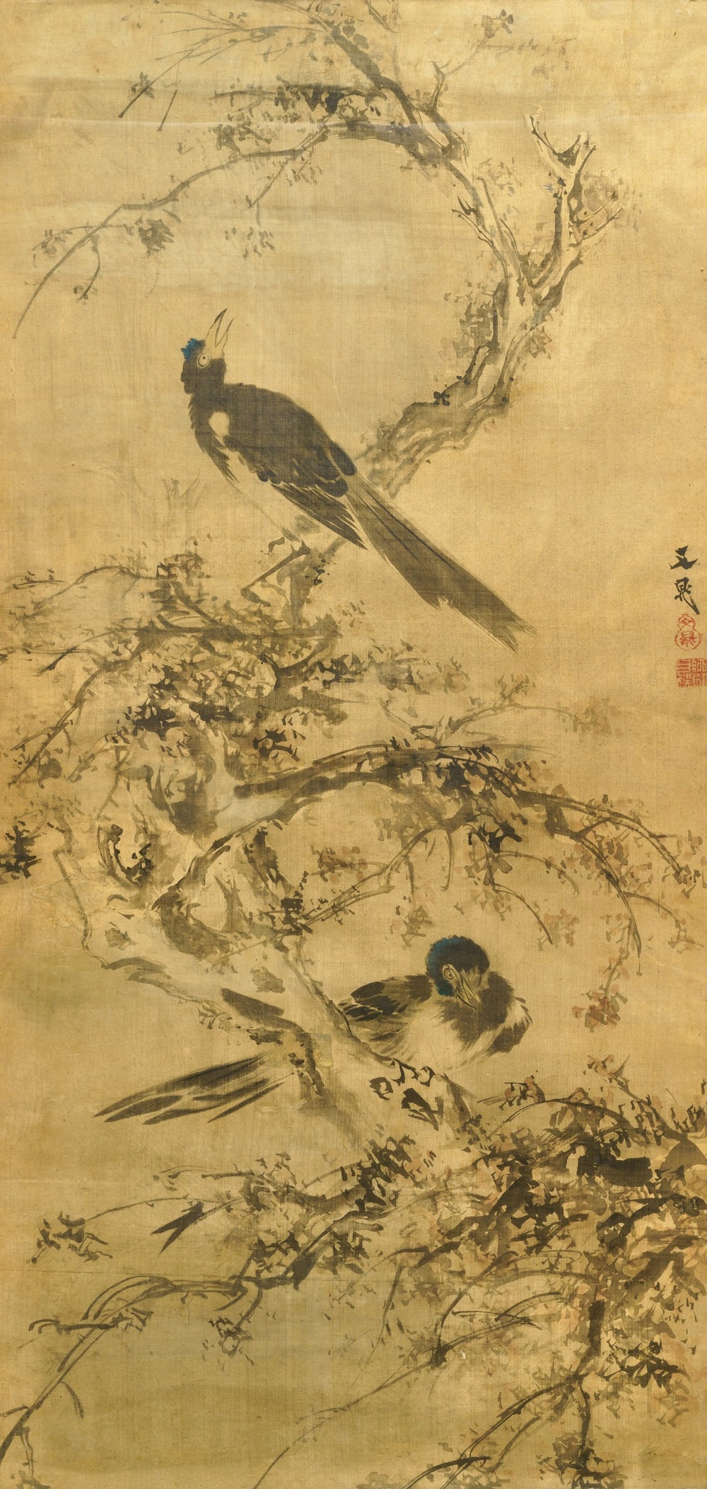 Tani Buncho (Japan, 1763-1841): Birds on a flower branch, ink and color on silk, framed