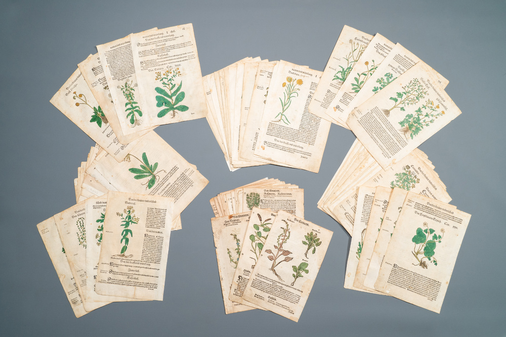 83 partly hand-coloured pages from botanical works, 16/17th C.