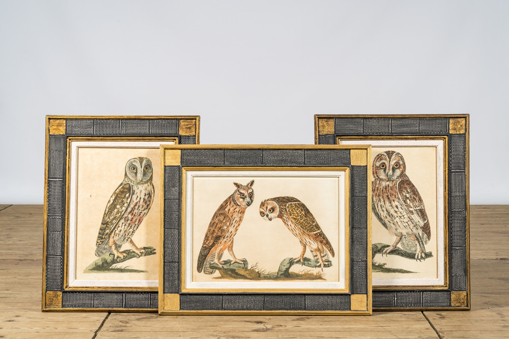 Drie ingekaderde kleurgravures met diverse uilen, 20e eeuw