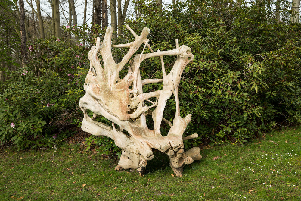 Tr&ocirc;ne impressionnant fait de racines d'arbres, 20&egrave;me si&egrave;cle