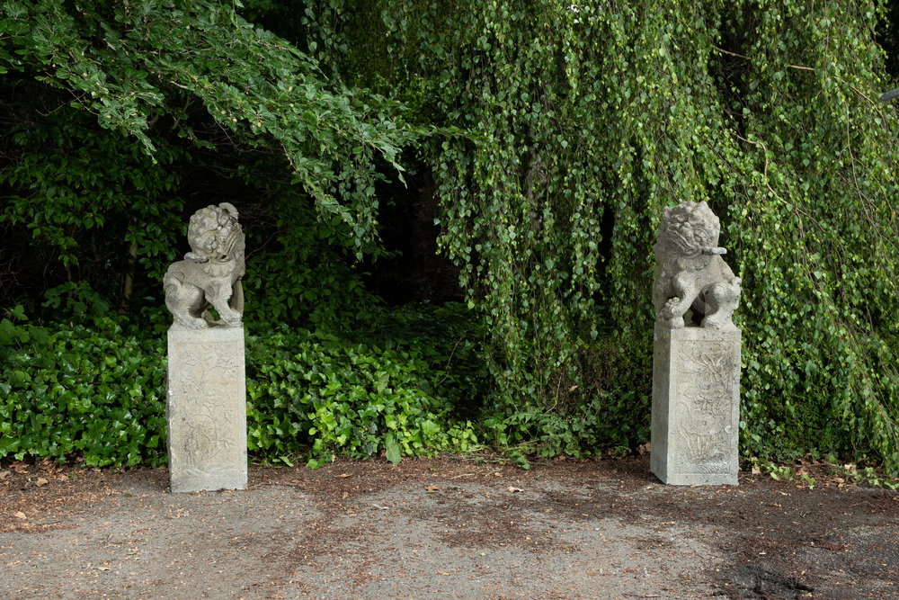 Een paar Chinese basaltstenen sculpturen van tempelleeuwen in Ming-stijl, 19/20e eeuw