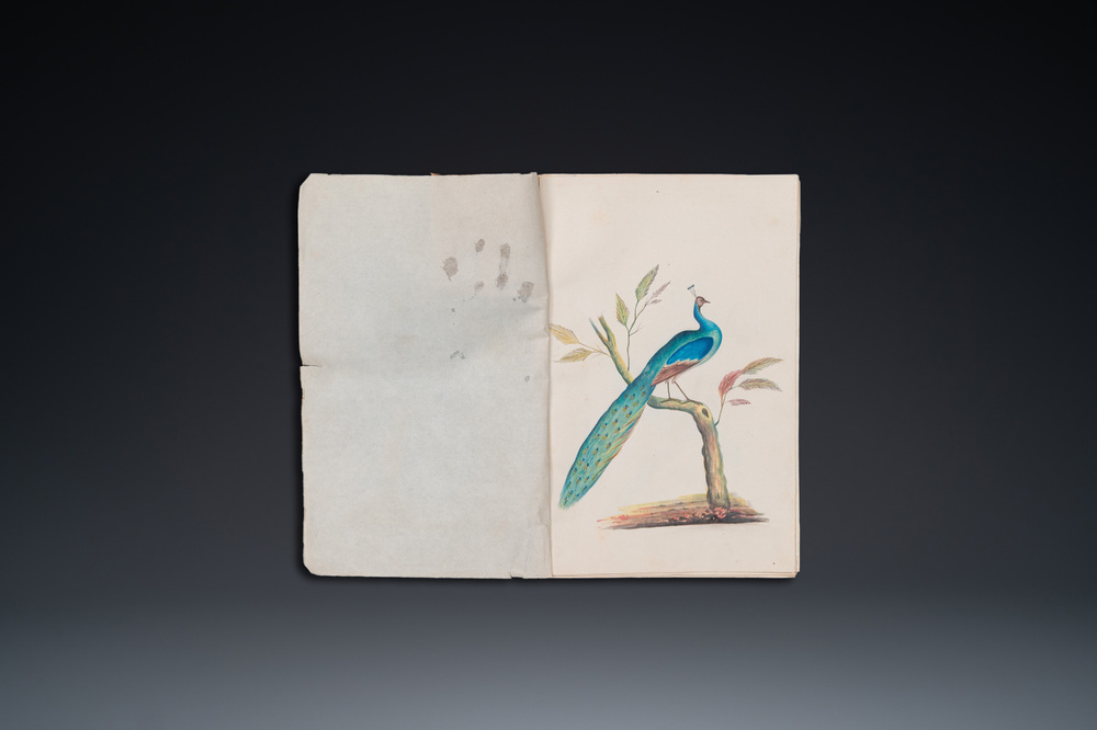 Album de 12 peintures d'oiseaux, Chine ou Inde, 19&egrave;me