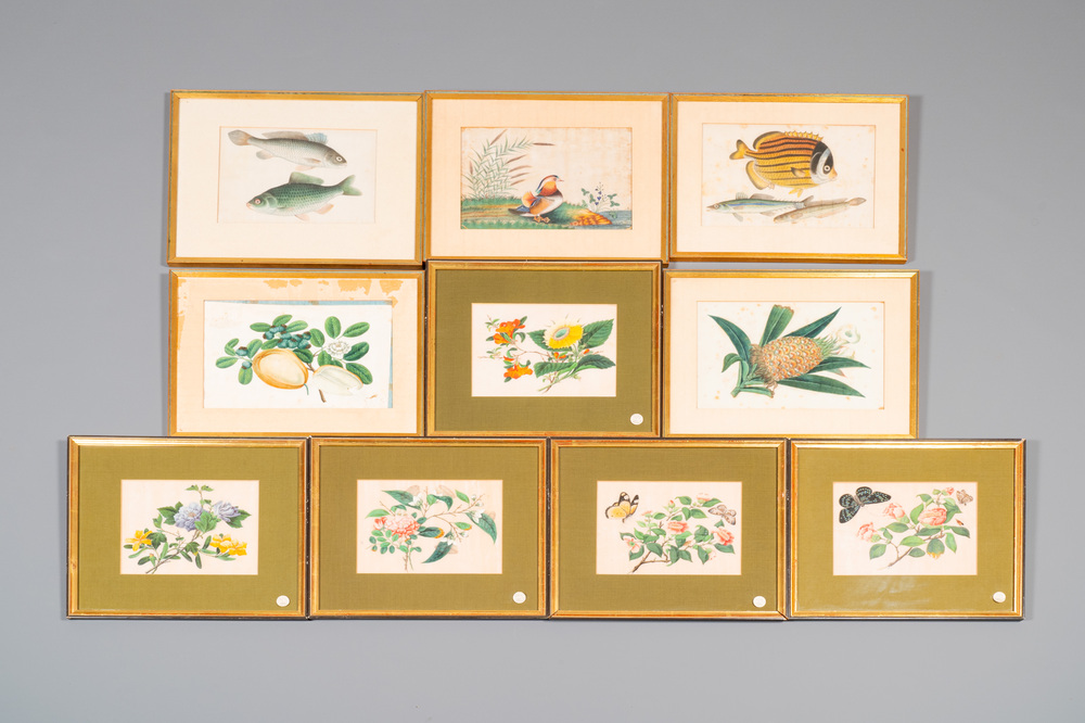 Ten various Chinese rice paper paintings with flora and fauna, Canton, 19/20th C.